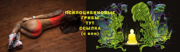 a pvp Абаза