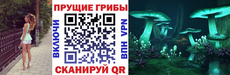 Псилоцибиновые грибы Magic Shrooms  Катайск 